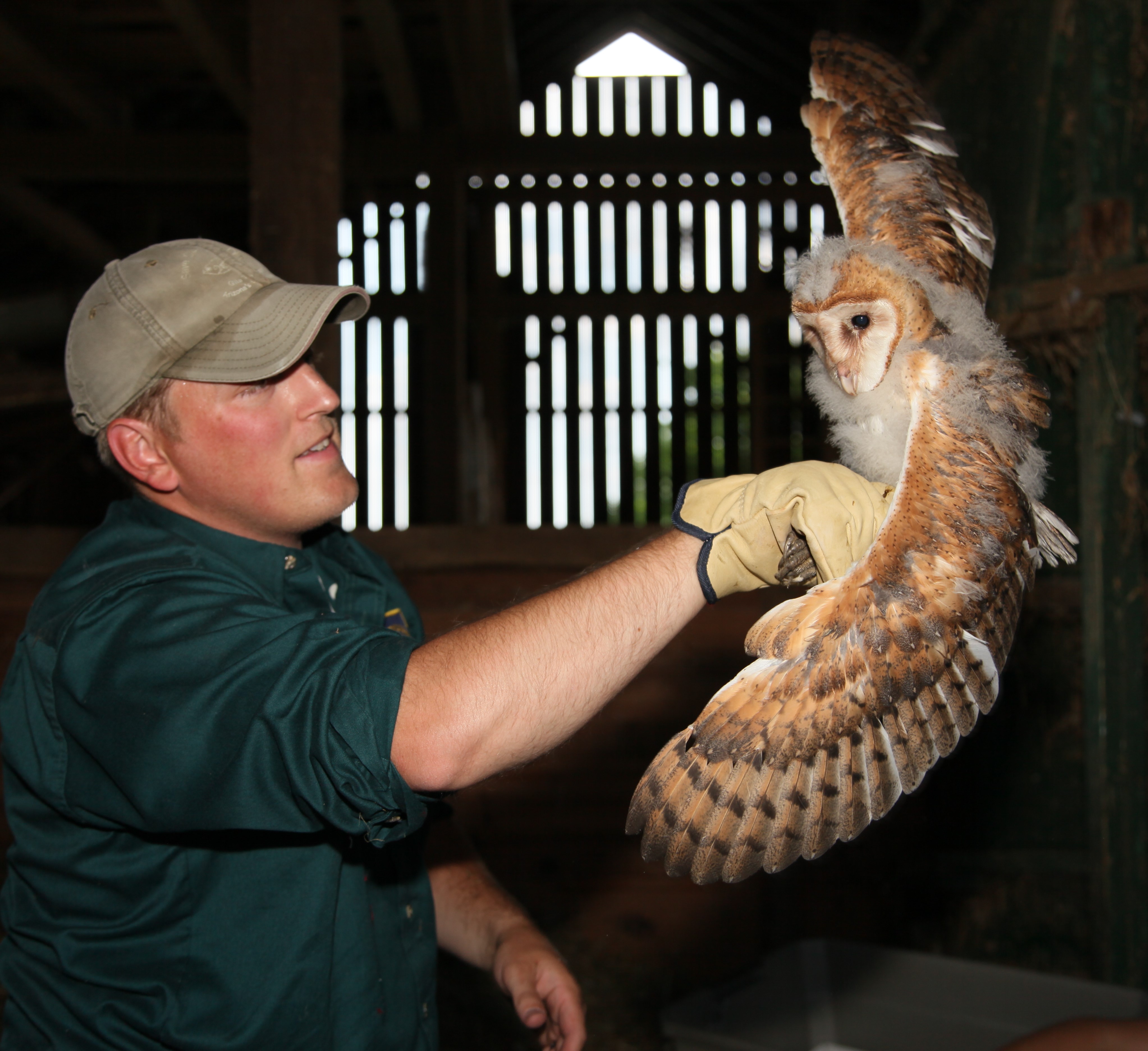 Biologist to discuss grouse, woodcock conservation